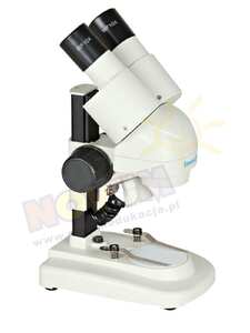 Mikroskop StereoLight